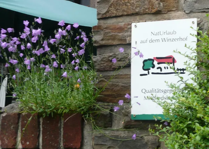 Gutshof Zenz 아파트